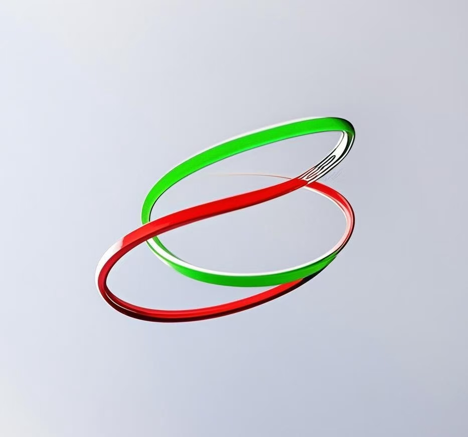 VPM logo